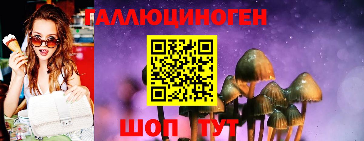 Камень-на-Оби  Галлюциногенные грибы прущие грибы  Вход с VPN  Галлюциногенные грибы Cubensis 